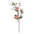 Fleur kvet Magnolia V87 cm