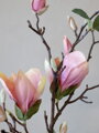 Fleur kvet Magnolia V87 cm