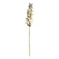 Fleur kvet Foxglove V80 cm biela