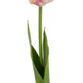 LÁTKOVÁ DEKORÁCIA KVET TULIPÁN RUŽOVÝ 63 CM