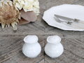 Provance porcelánova sada na sol a korenie V6 cm biela