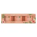 Tropical Breeze 3pack sviečka v skle 3 X 37 gr