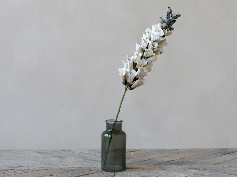 Fleur kvet Foxglove V80 cm biela